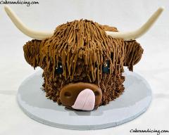 Holy Cow Is It A Cow Or Cake Highland Cow Face Smash Cake #highlandcow #cowface #cowfacecake #highlandcattle #cowcake #smashcake #buttercreampiping #fondanthorns 02
