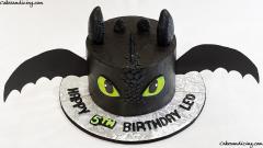 How To Train Your Dragon Theme Cake #httyd #howtotrainyourdragon #toothless #hiccup #nightfury #dragons #httydedit #dragon #toothlessthedragon #toothlesseyes